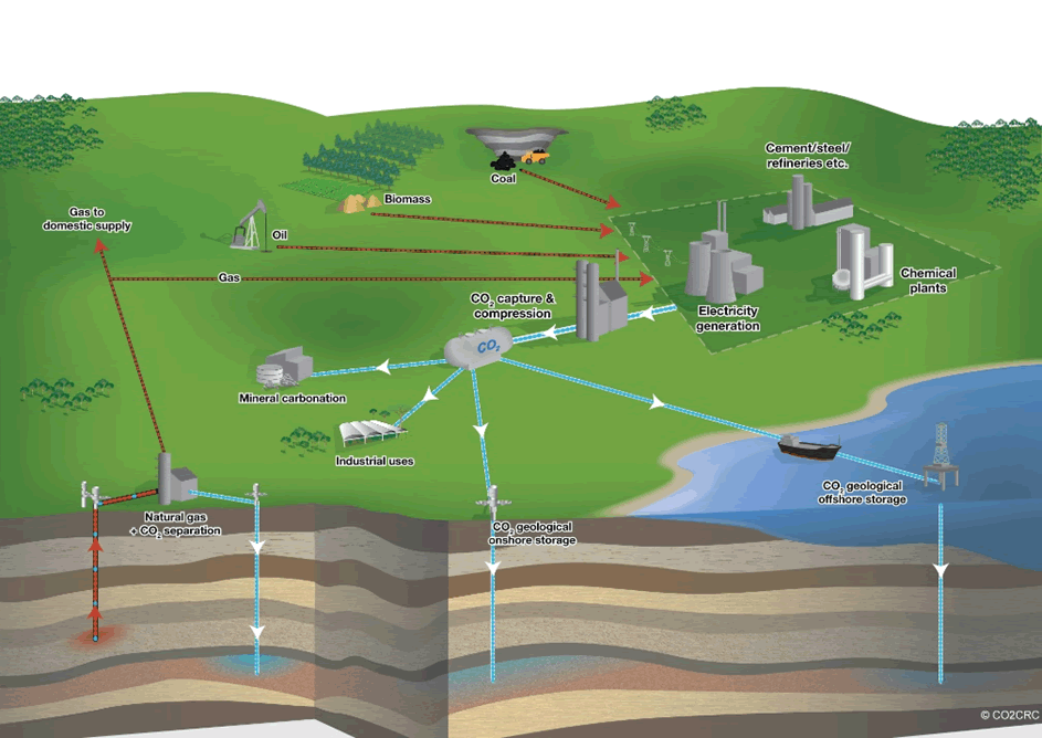 Diagram of a range of sources and storage sites that provide flexible CCS operations.
