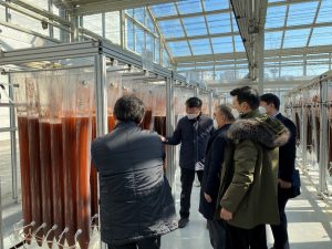 Champions Corner: Dr Sang Jun Sim produces bioplastics from CO2 using green microalgae